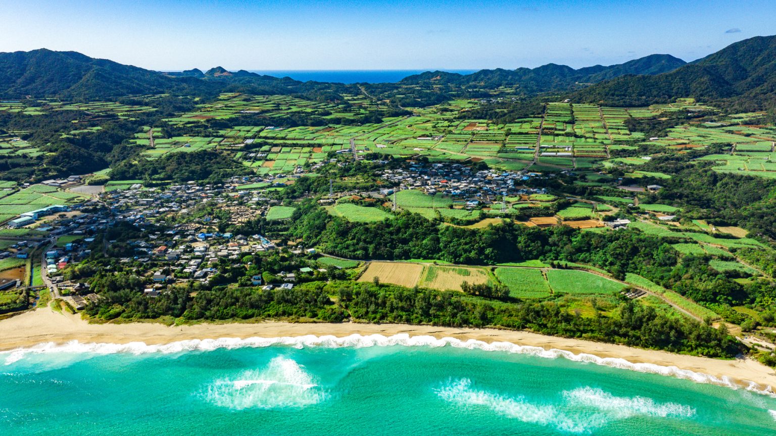 南海日日新聞 配達員募集中 南海日日新聞 クロスメディア